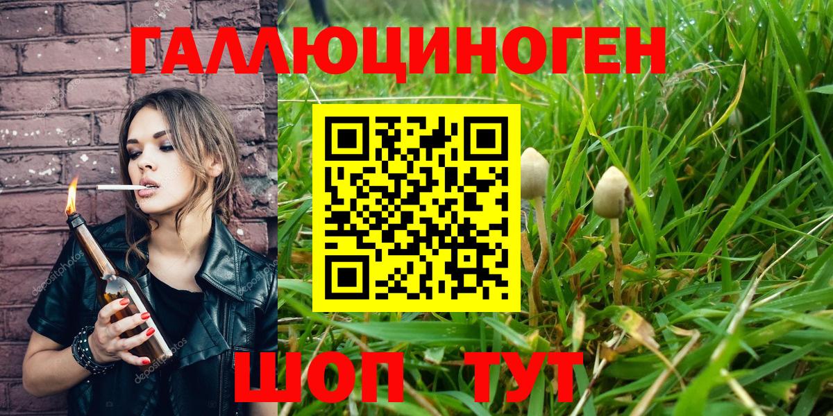 Галлюциногенные грибы GOLDEN TEACHER  Вход с VPN  Ростов Великий  Галлюциногенные грибы GOLDEN TEACHER 